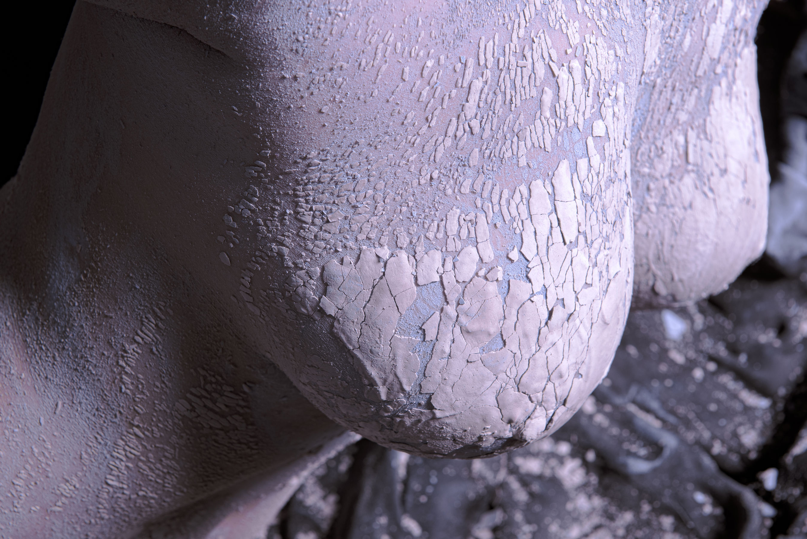 [福利COS] 秋和柯基(夏小秋秋秋) - 复生第7张