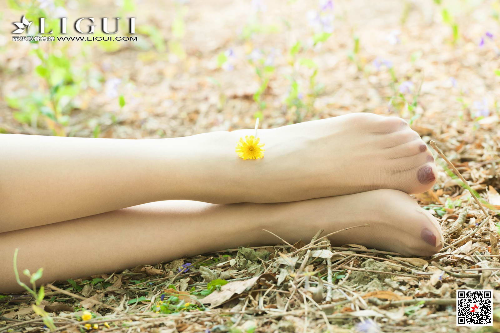 LiGui丽柜 2020-09-21 凉儿 绿野伊莲第17张