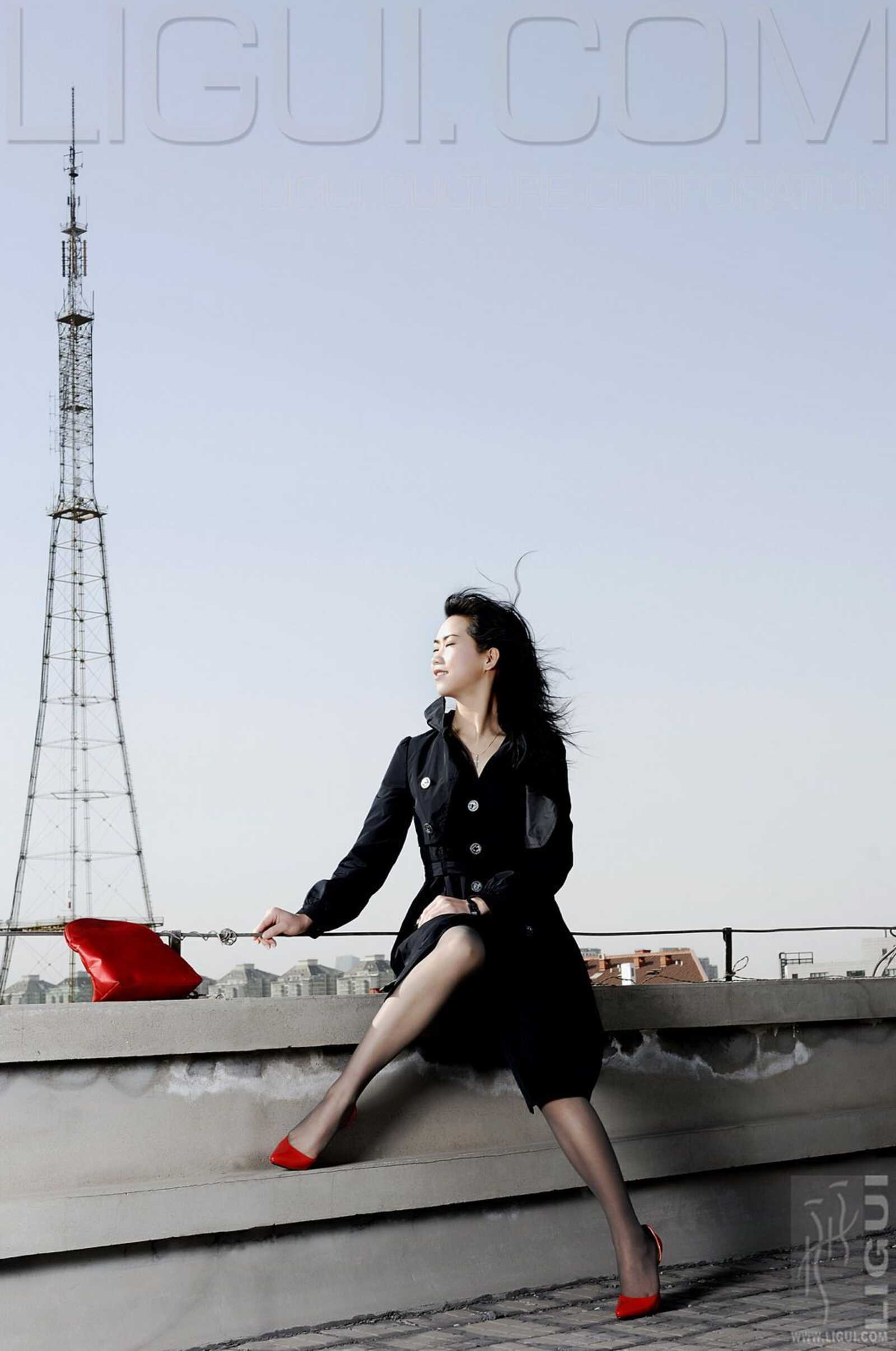 [丽柜LiGui] Model 程海伦《紅與黑》丝足写真图片第10张