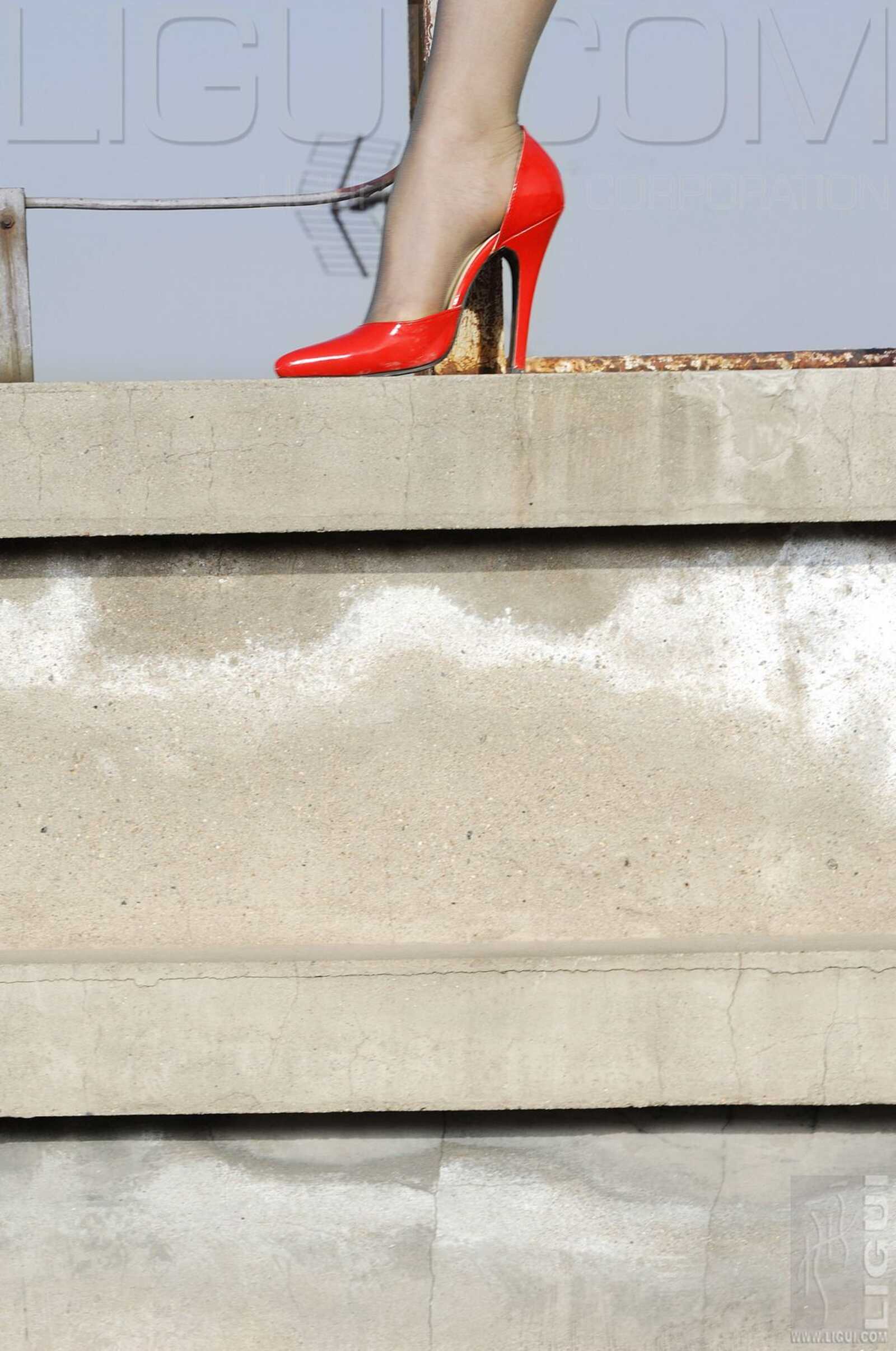 [丽柜LiGui] Model 程海伦《紅與黑》丝足写真图片第2张