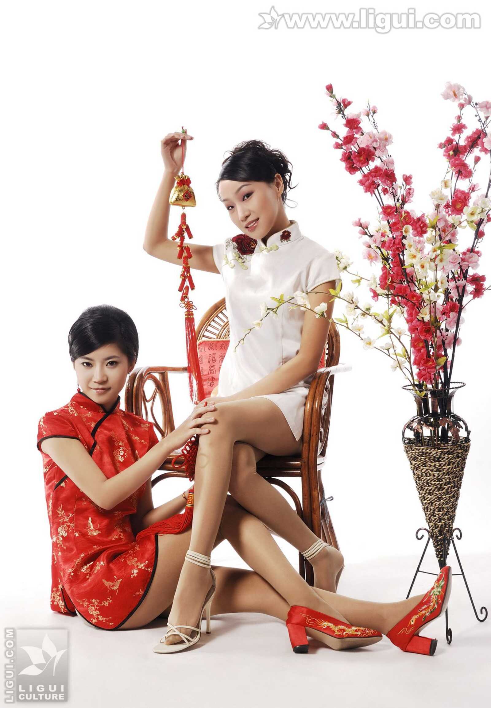 [丽柜LiGui] 《丽柜模特这里给您拜年了》 新年特第3张