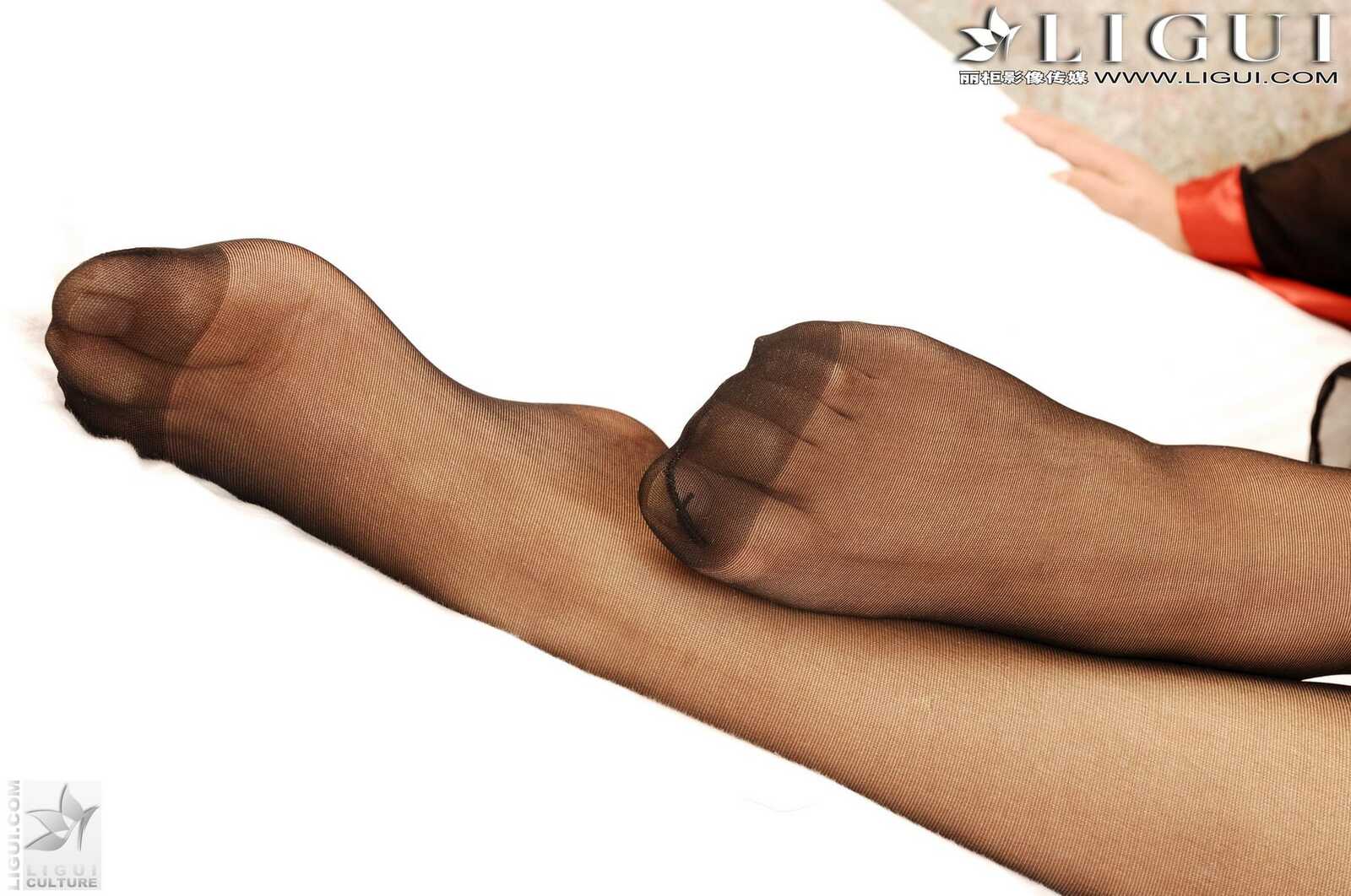 Model 苏菲《诱人黑丝美腿》 [丽柜LiGui] 美腿玉足第4张