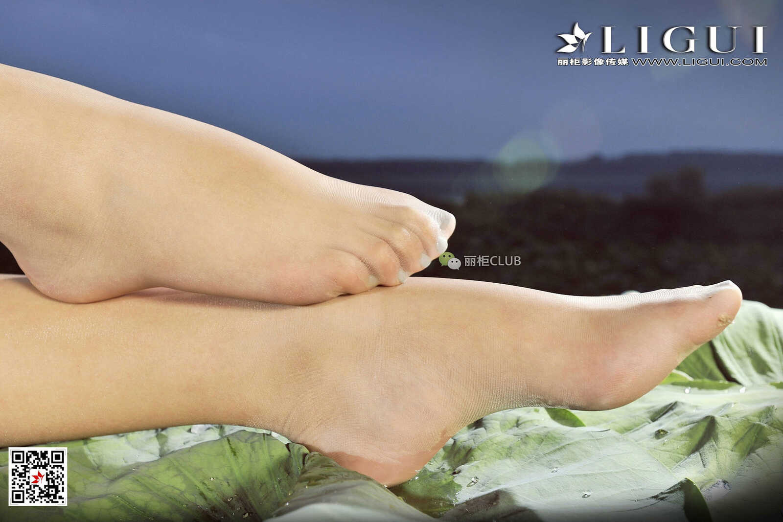 Model 腿模Amily《连衣套裙+肉丝足》 [丽柜Ligui] 写第17张