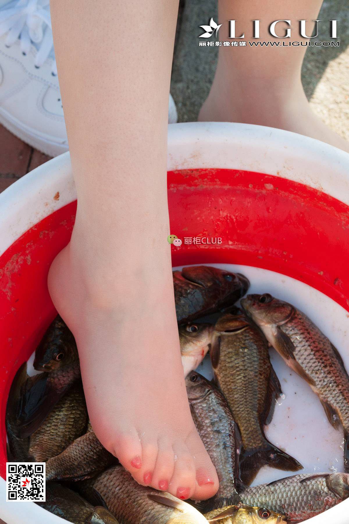 腿模筱筱&amp;amp;然然《钓鱼丝足》 [丽柜LIGUI] 美腿玉第5张