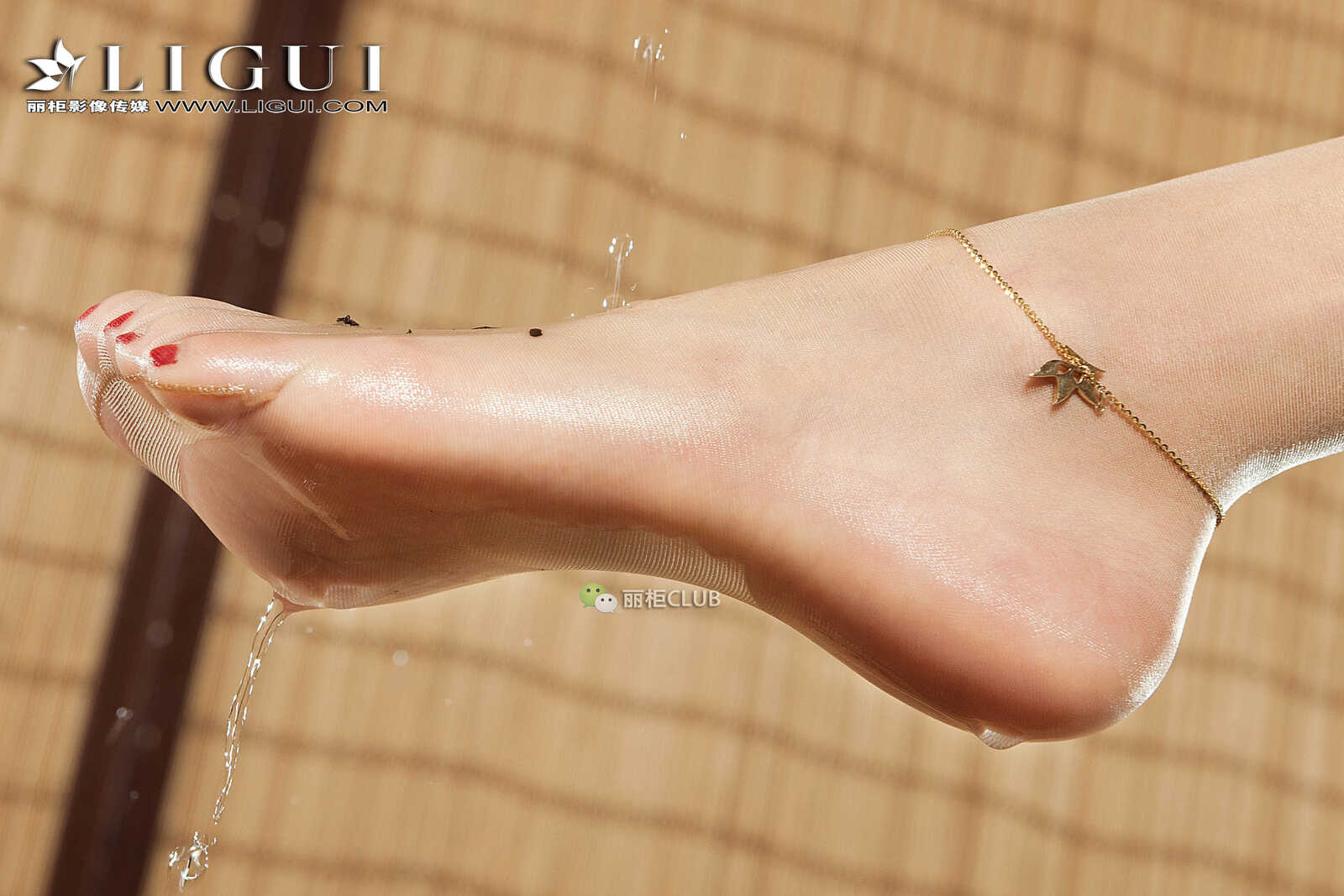 腿模王欣竹《旗袍茶艺丝足》 [丽柜Ligui] 美腿丝第1张