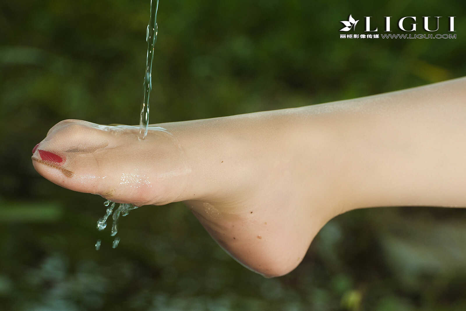 腿模小戈《钓鱼丝足》 [丽柜Liguil] 网络丽人 写真第1张