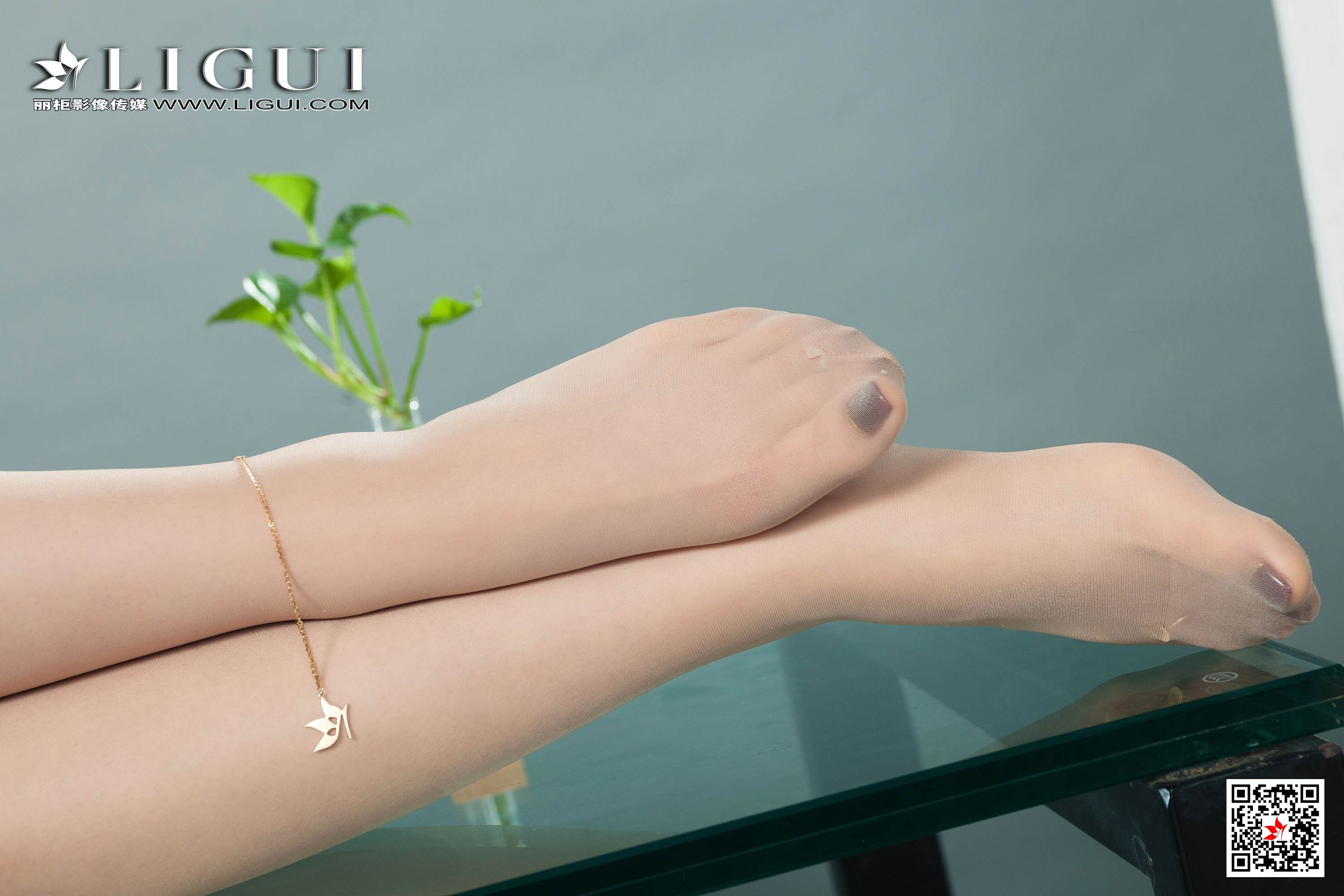 腿模赵蕊《长腿高跟OL女郎》 [丽柜LiGui] 网络丽人第3张