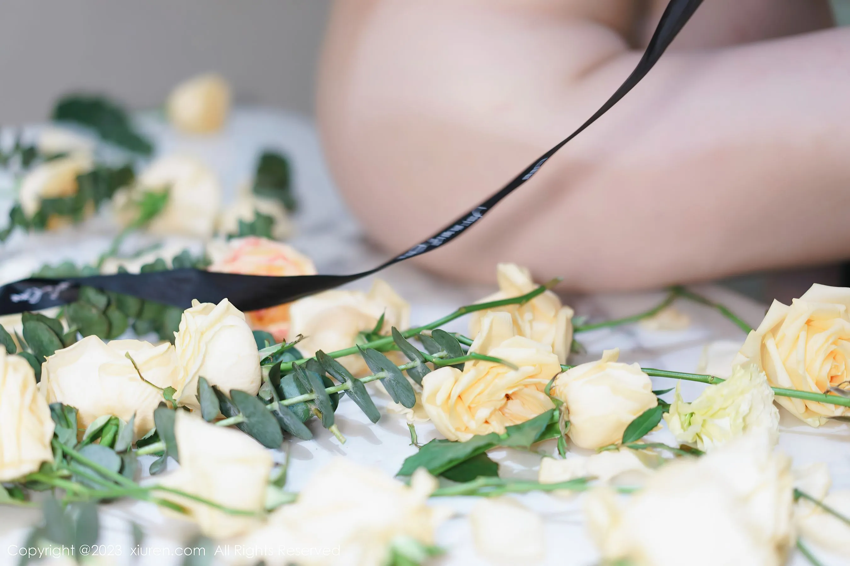  秀人网 No.6249 妲己_Toxic第17张