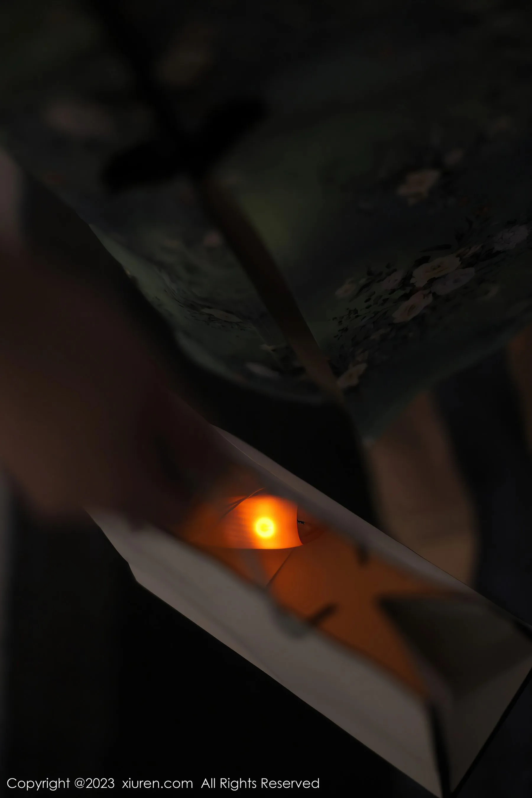  秀人网 No.6464 Arude薇薇 旗袍美腿第24张