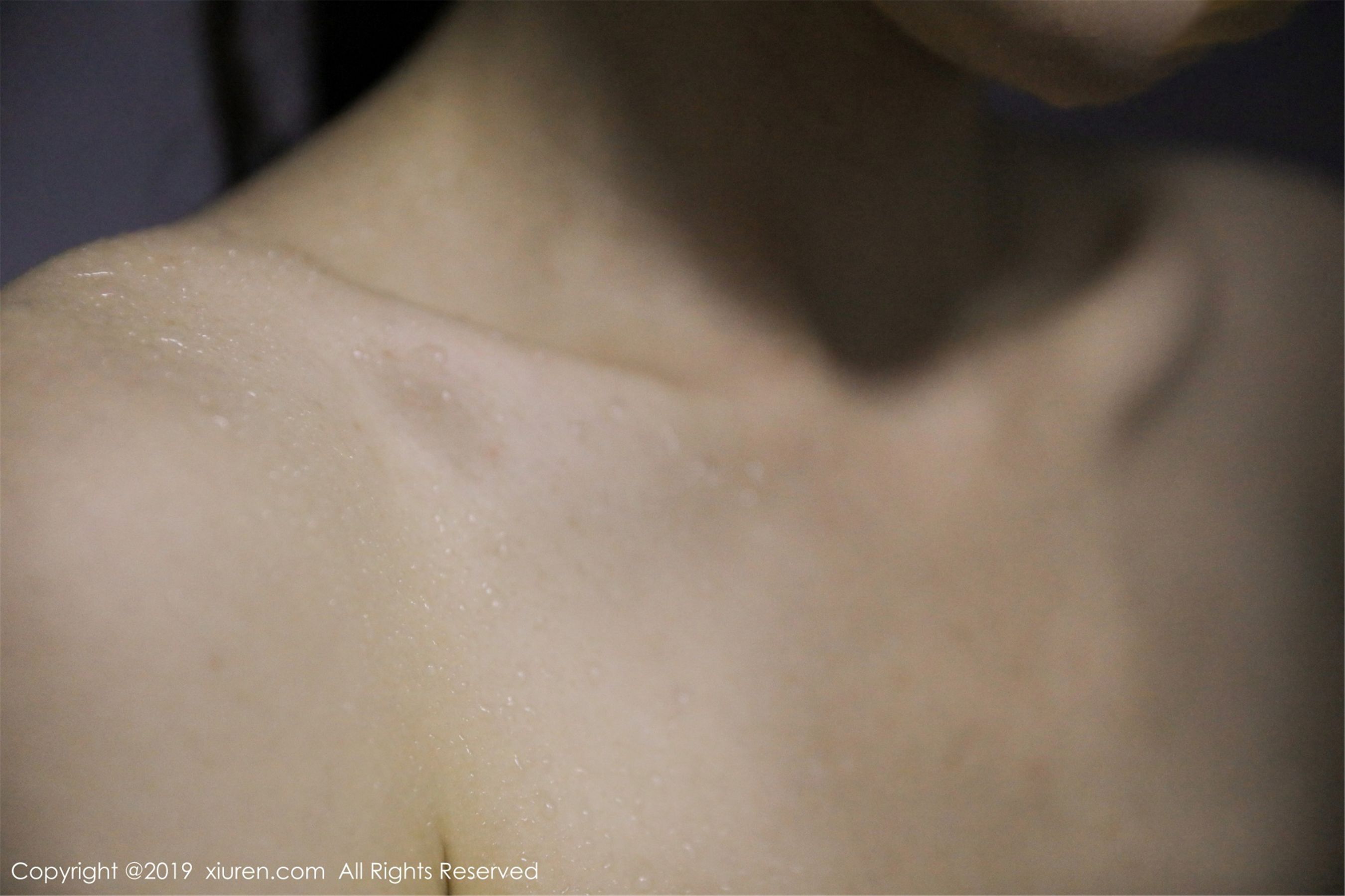 XiuRen 秀人网 No.1449 沈梦瑶第2张