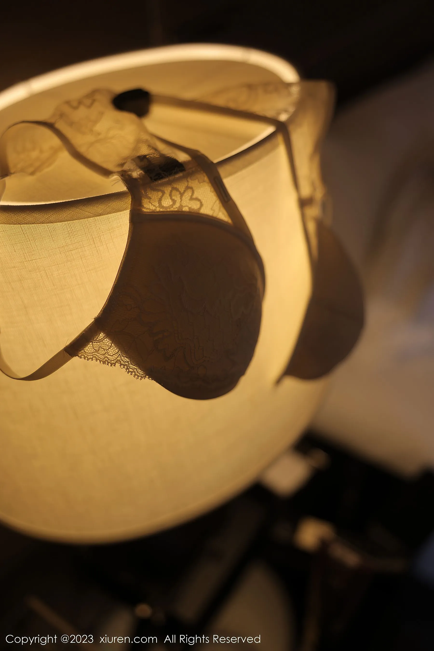 秀人网 No.6290 yoo优优第20张