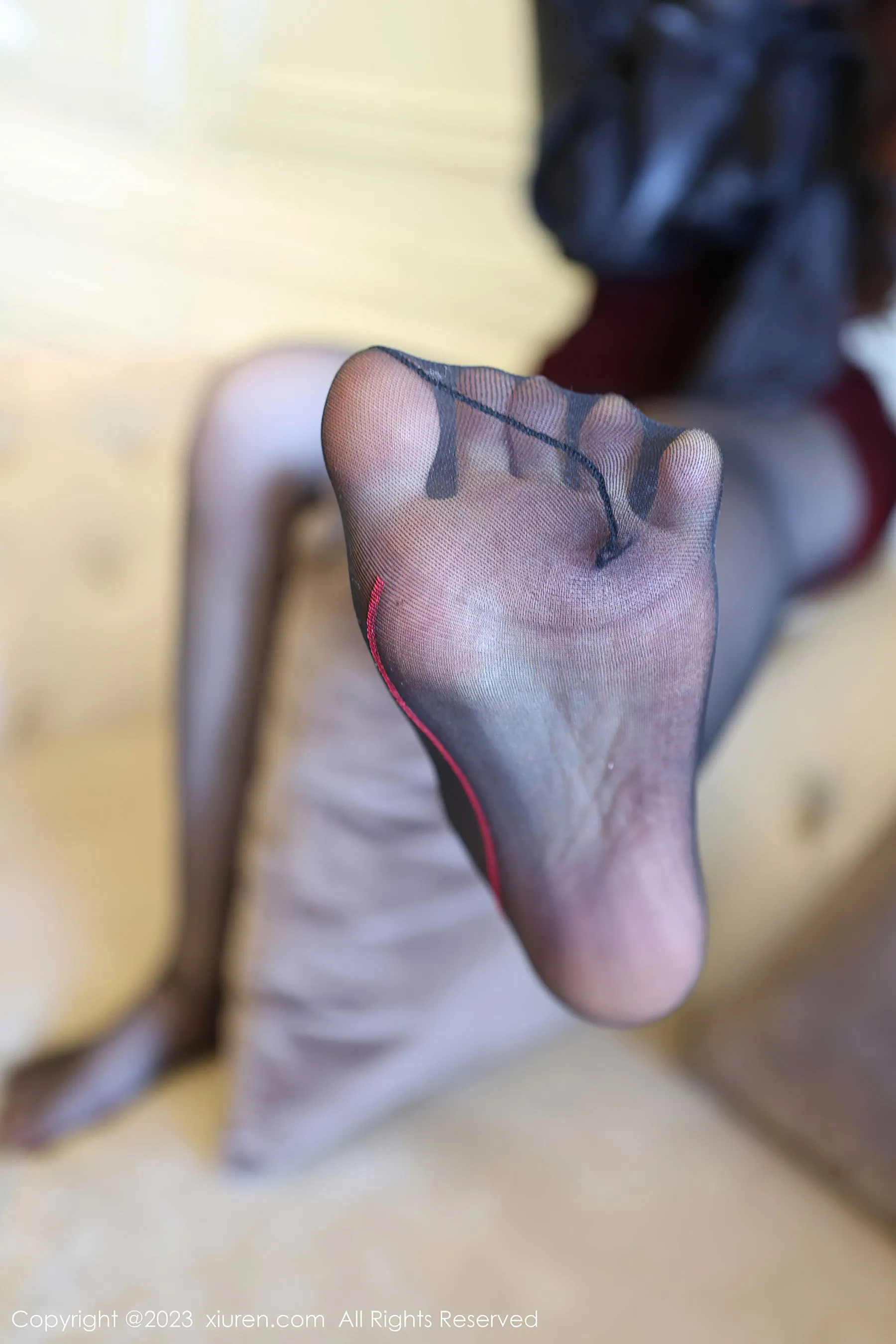 秀人网 No.6569 玉兔miki第25张