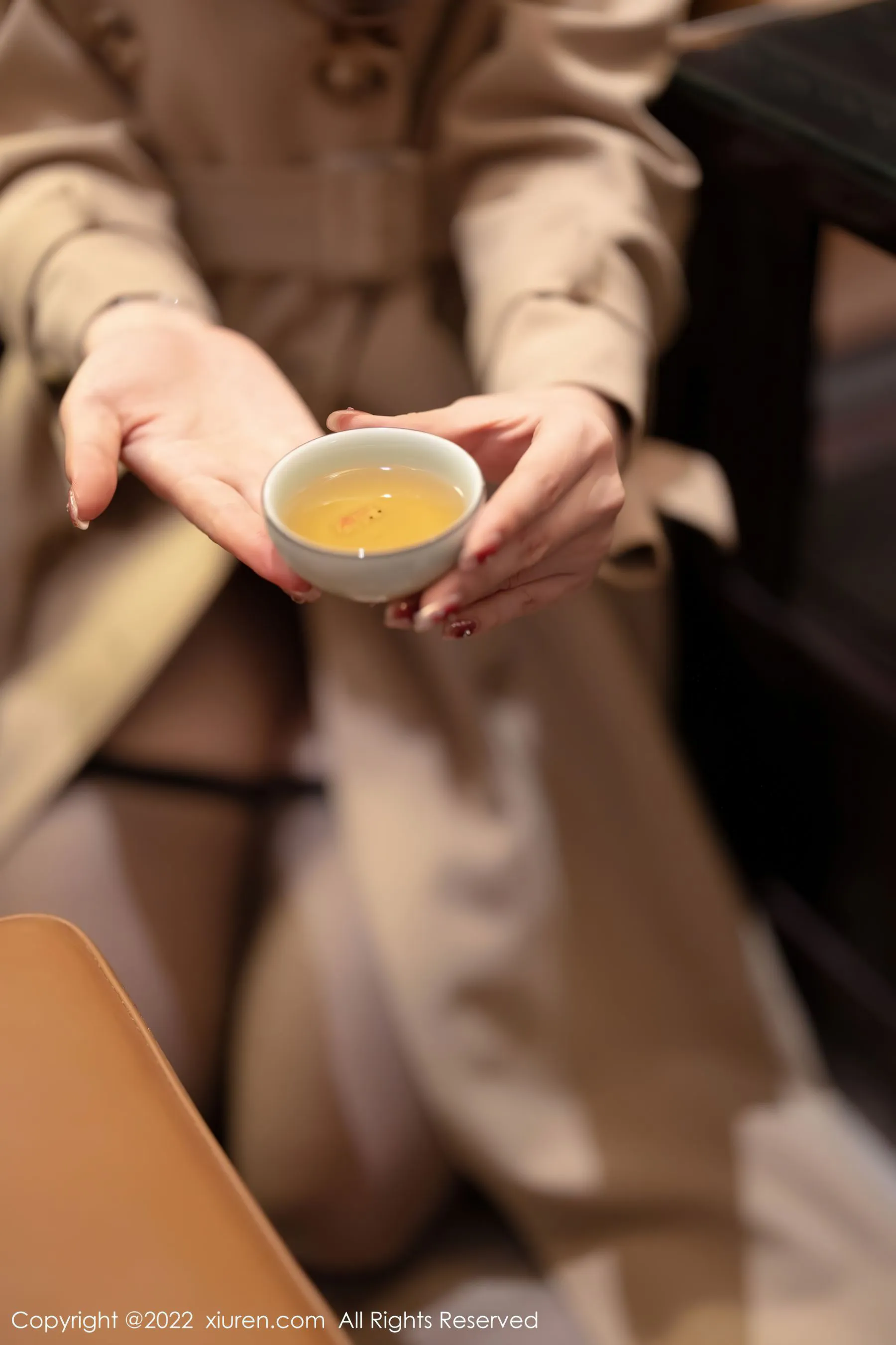  秀人 No.4543 芝芝第19张