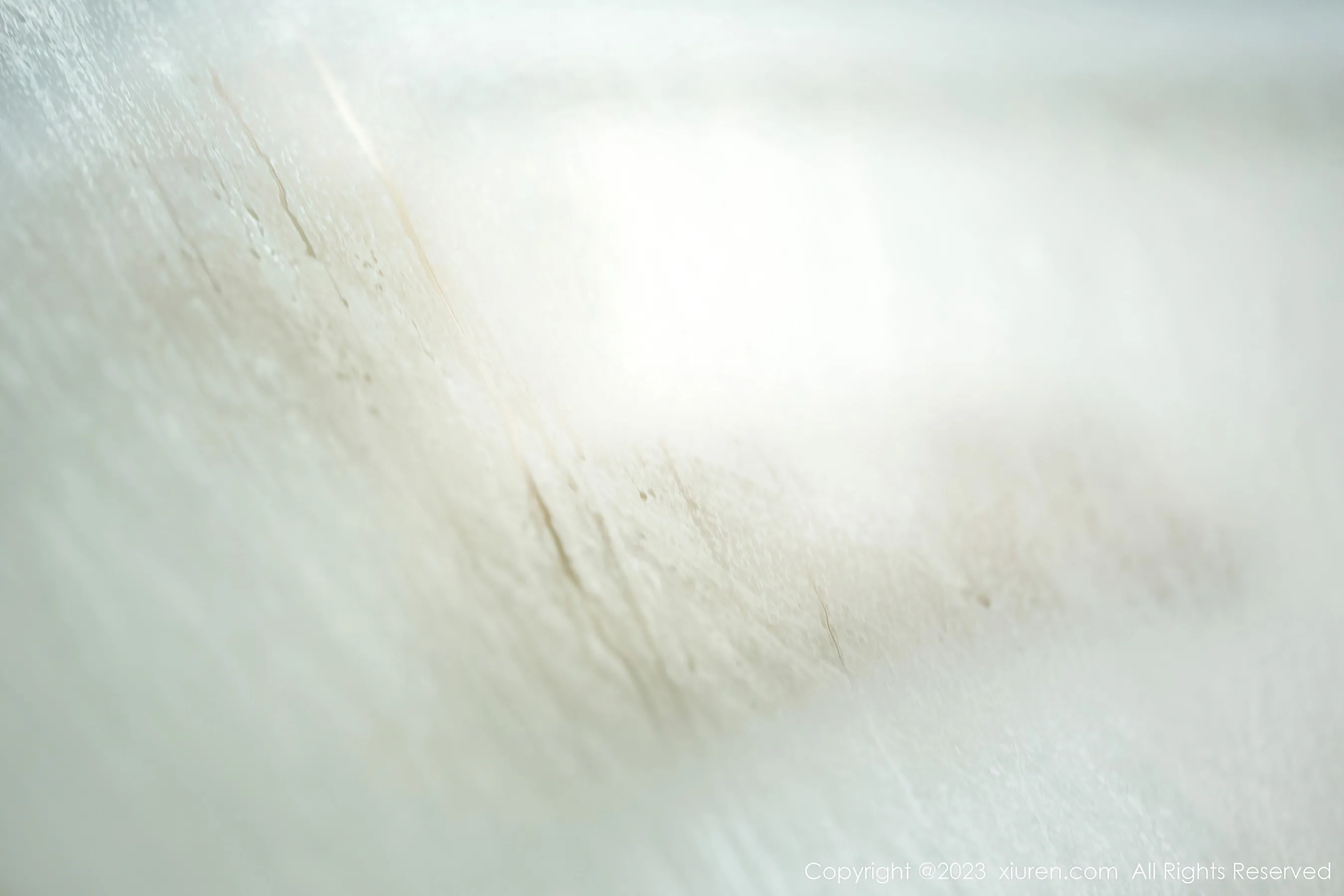 秀人网 No.6610 Carol周妍希第15张