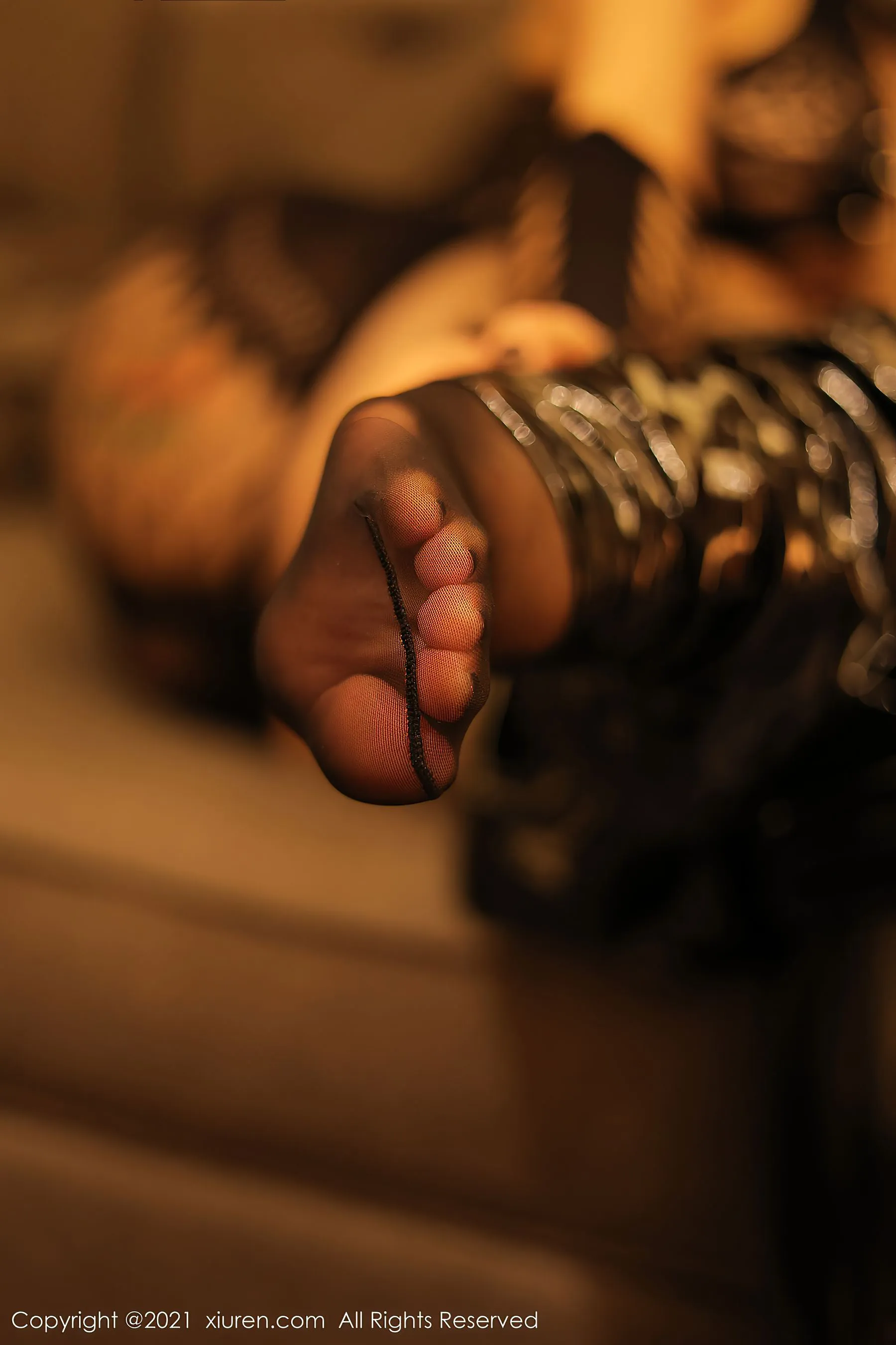 秀人 No.4267 果儿Victoria第14张