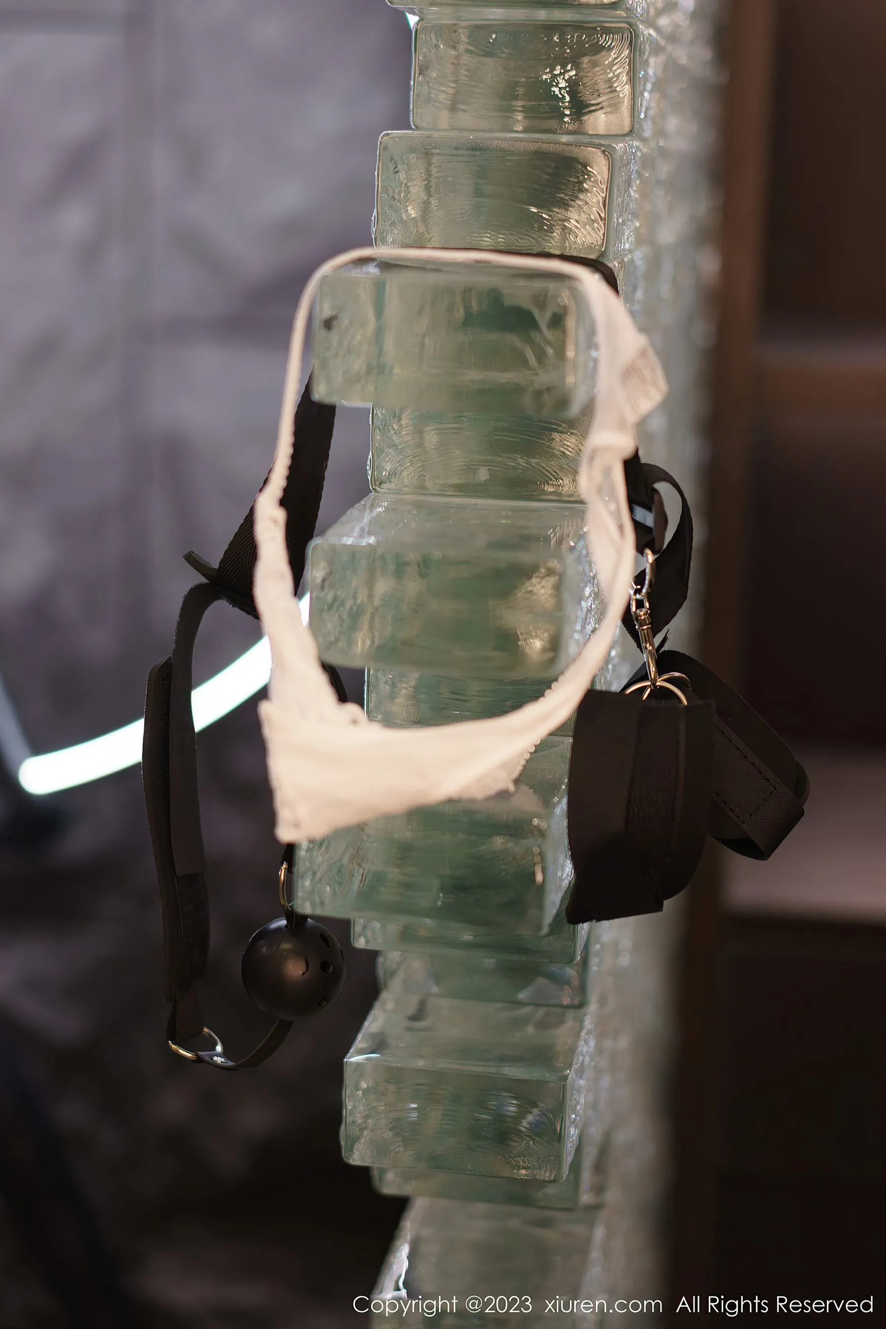 秀人网 No.6206 icy猪第22张