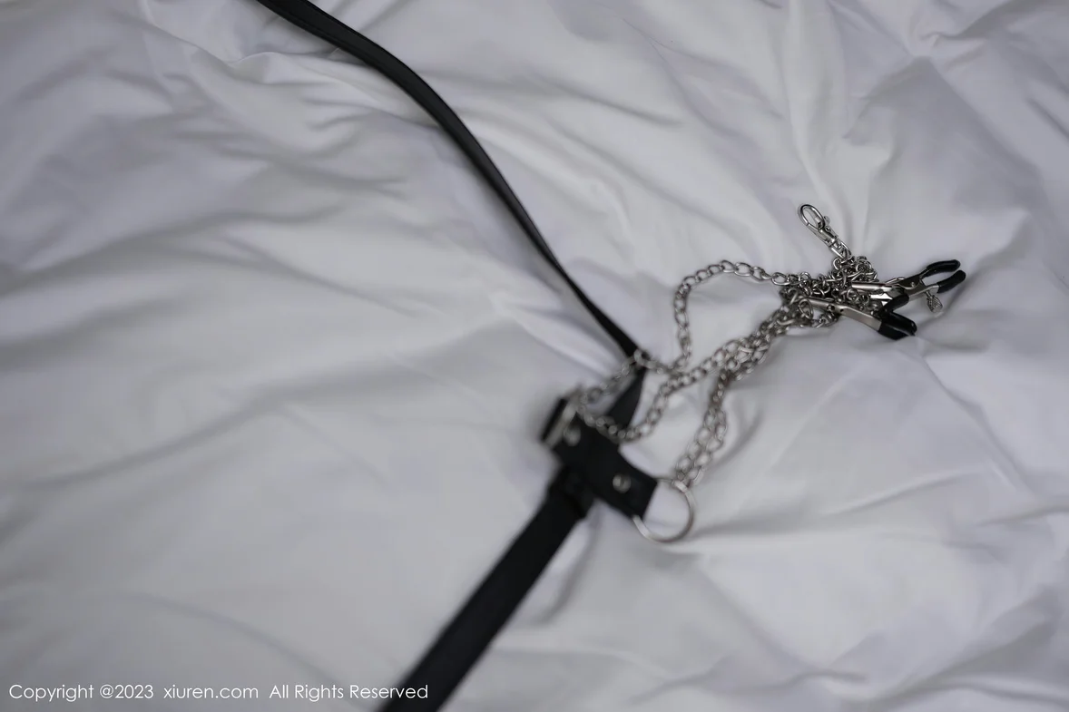  秀人网 No.7367 Carol周妍希 御姐气息性感写真 [73P]第24张