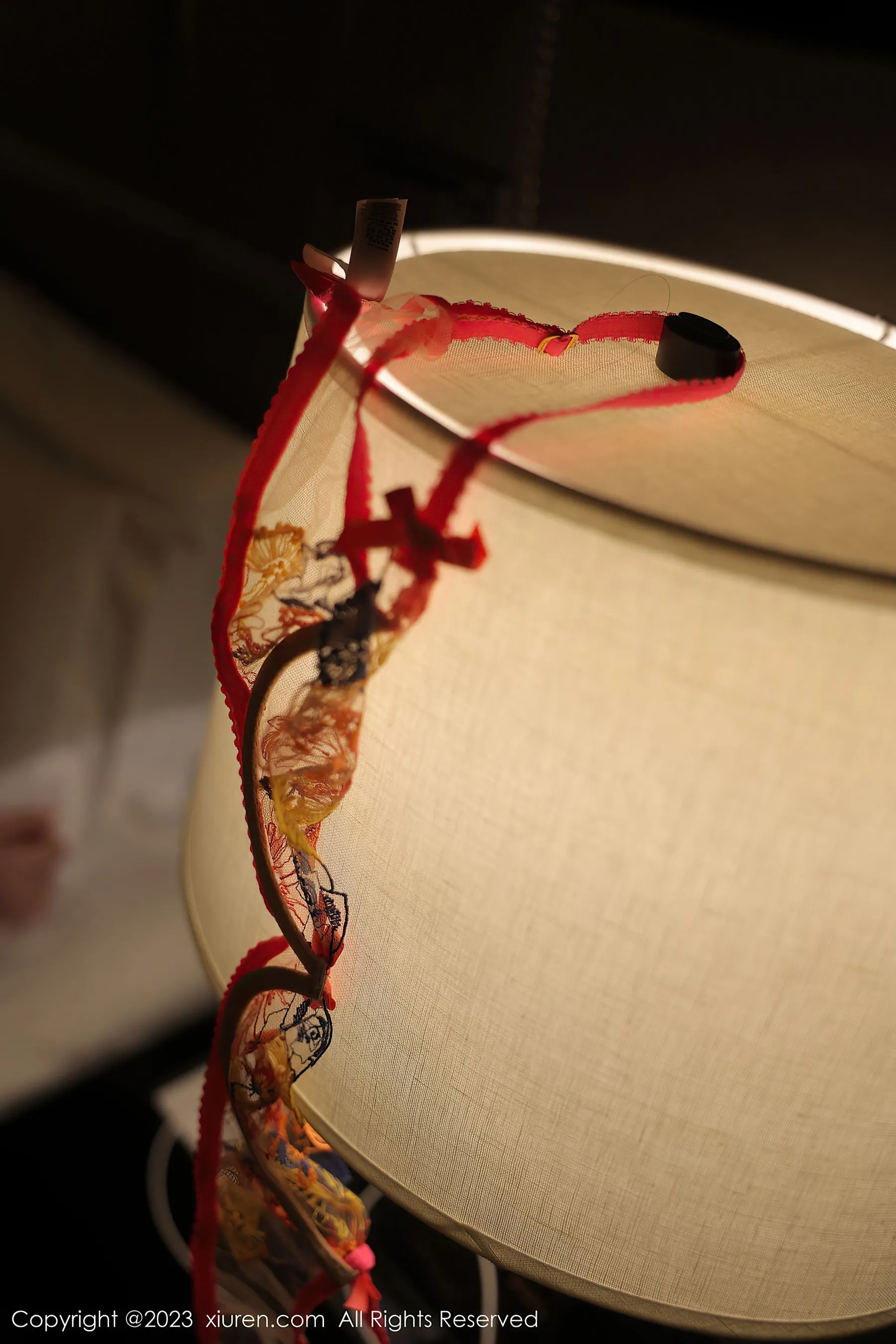  秀人网 No.6317 林珊珊第19张