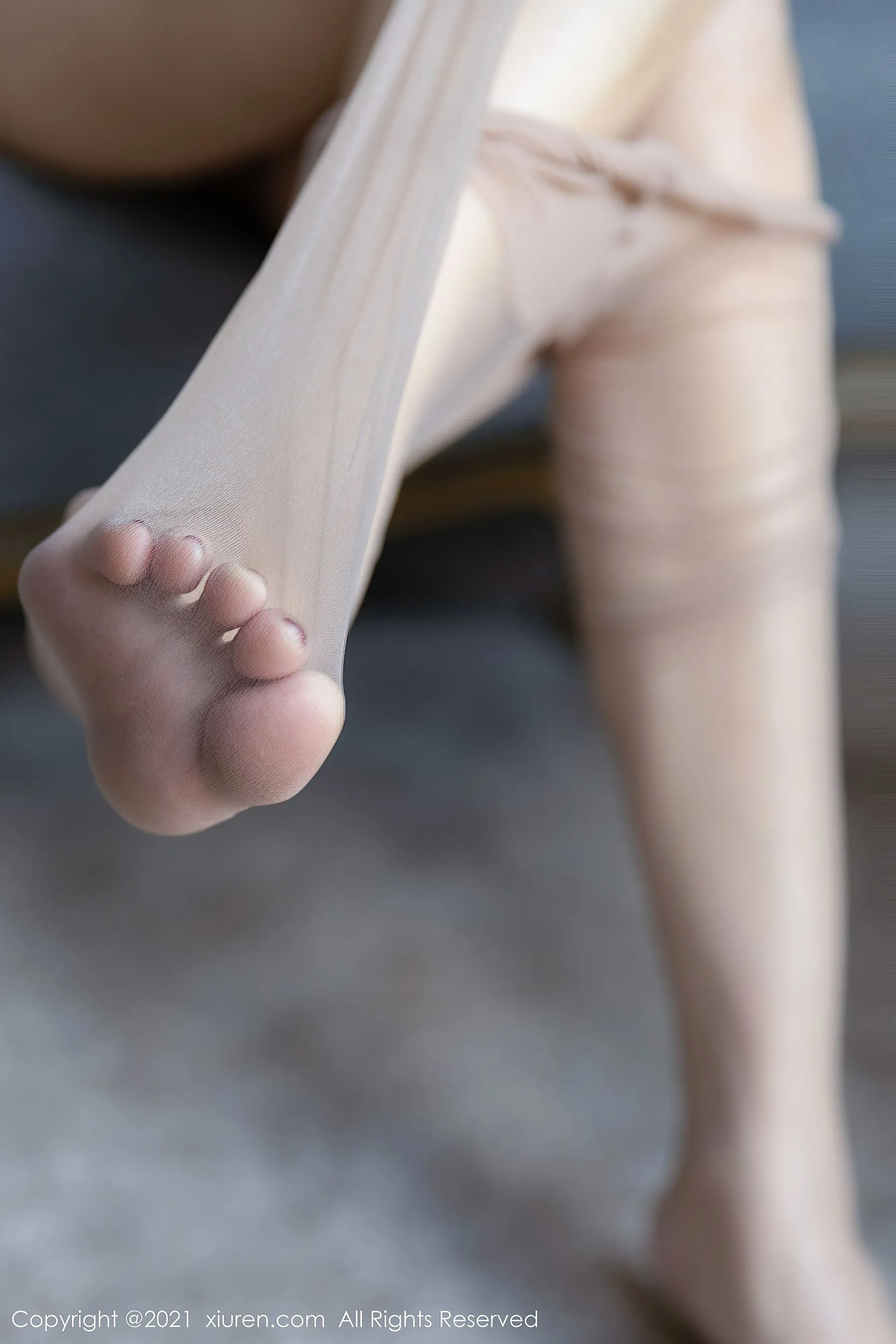 秀人 No.3760 果儿Victoria第19张