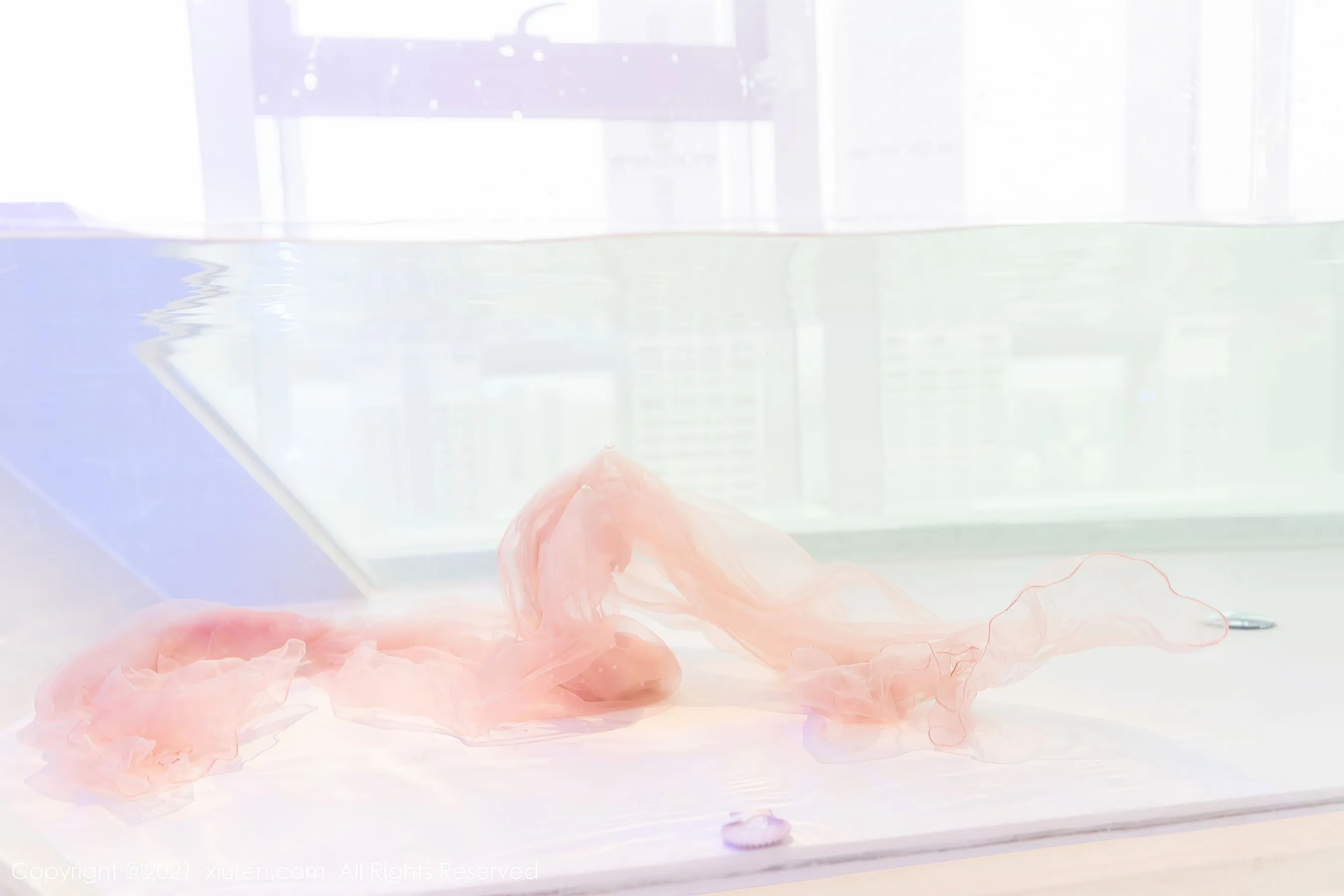 秀人 No.4103 允爾第22张