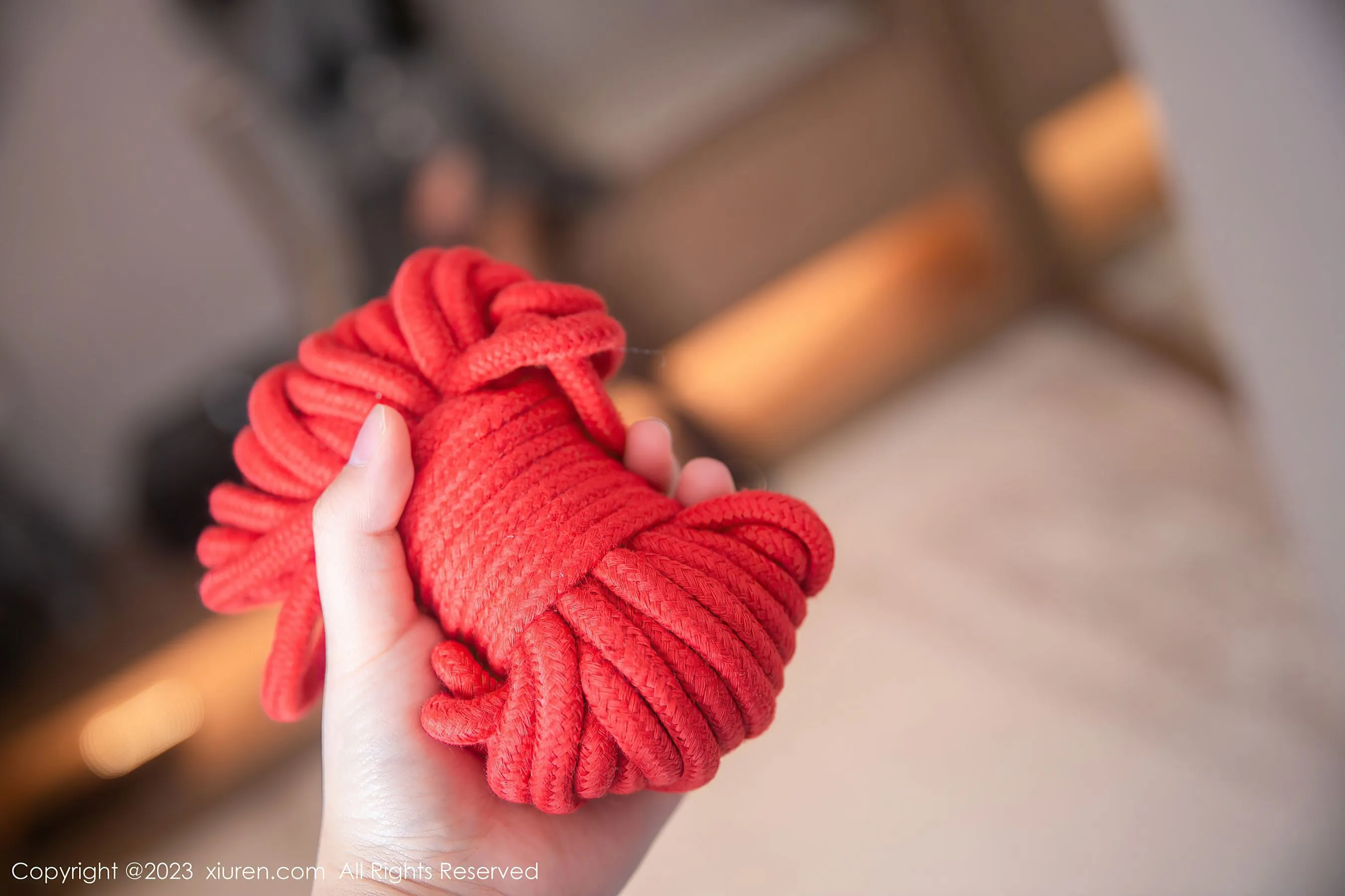  秀人网 No.6495 谭小灵 新人美腿第25张