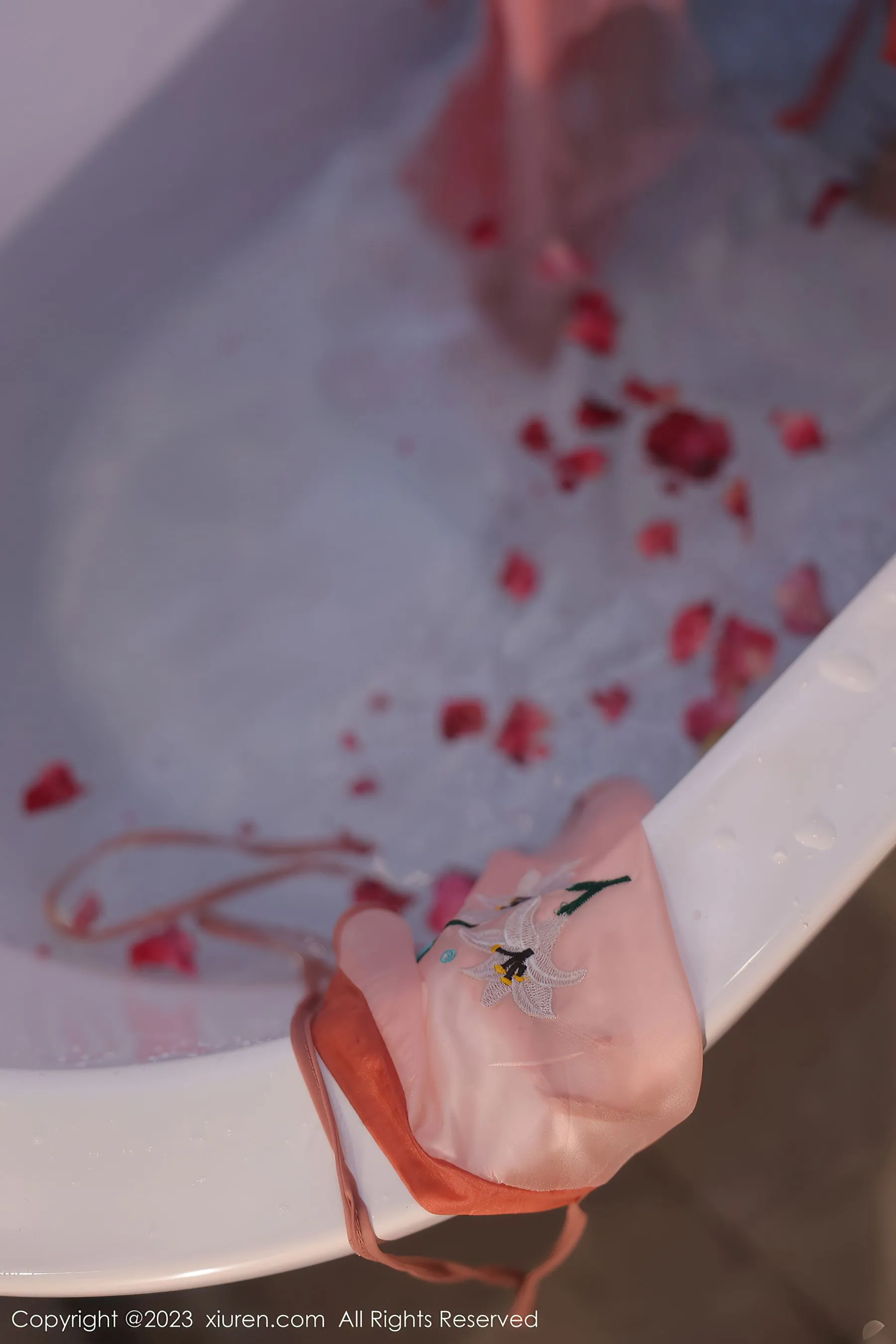 秀人网 No.6262 江真真第8张