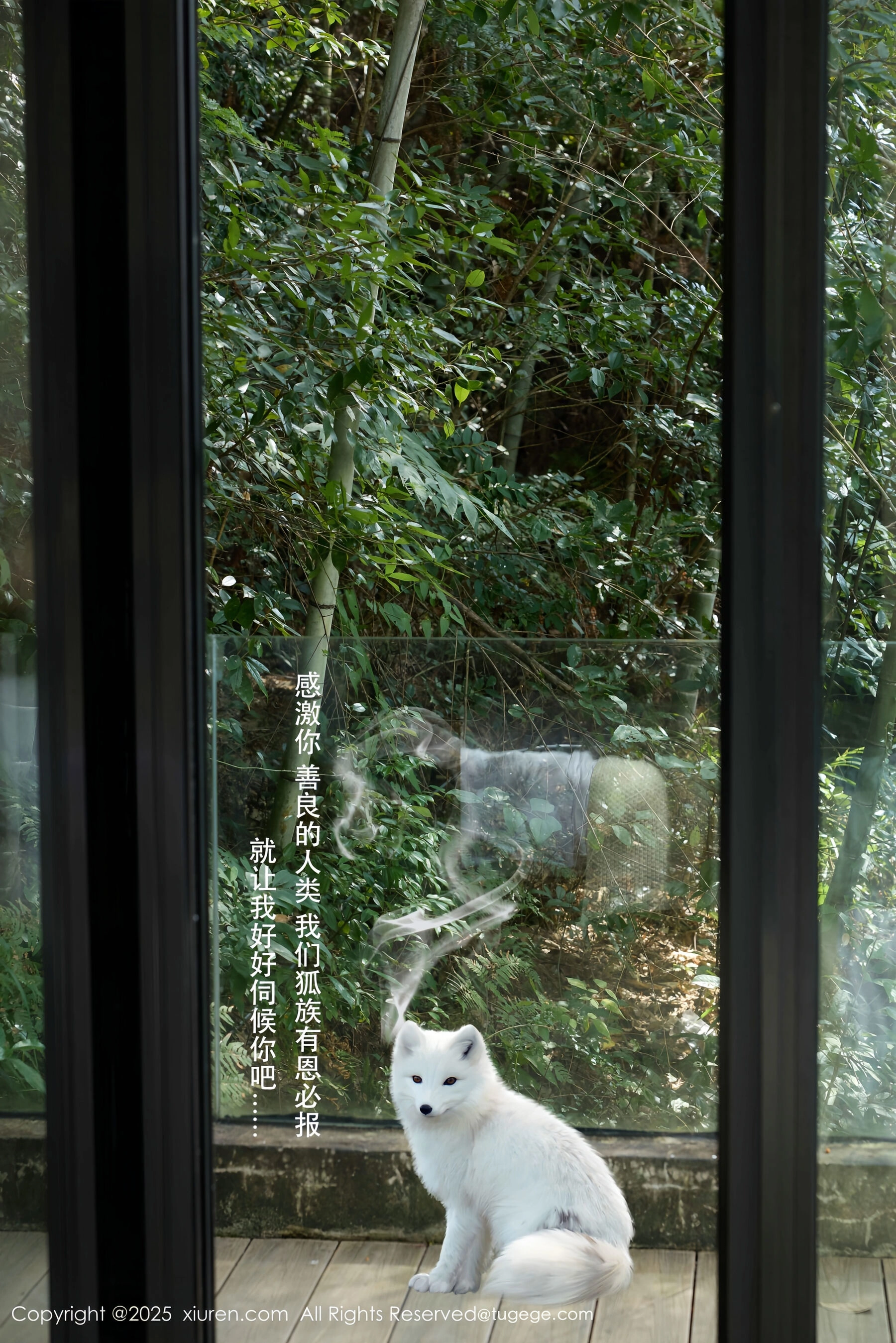  秀人网 尹甜甜 Vol.11068 [55P]第5张