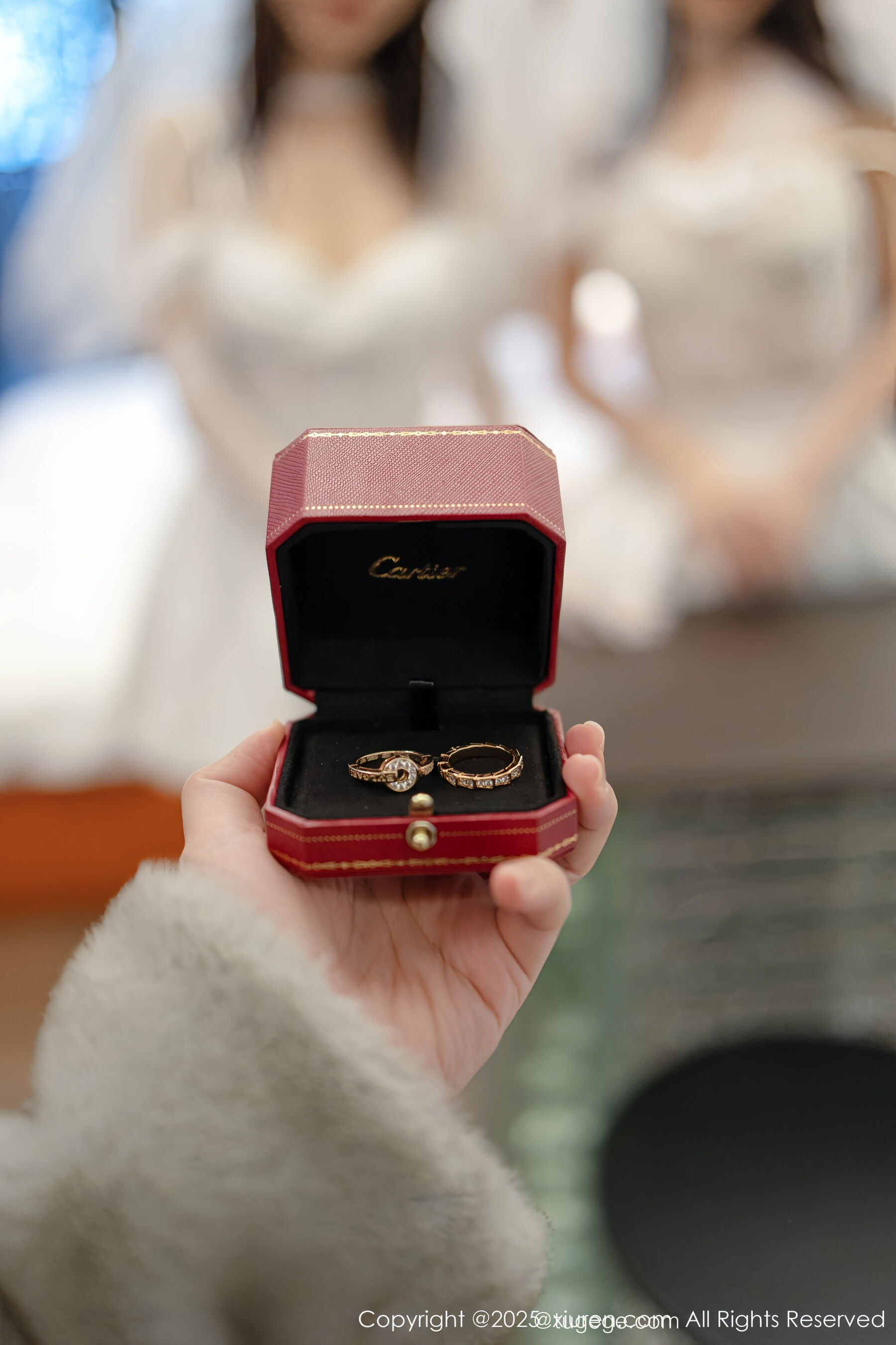  秀人网 模特合集 Vol.11184 [81P]第3张