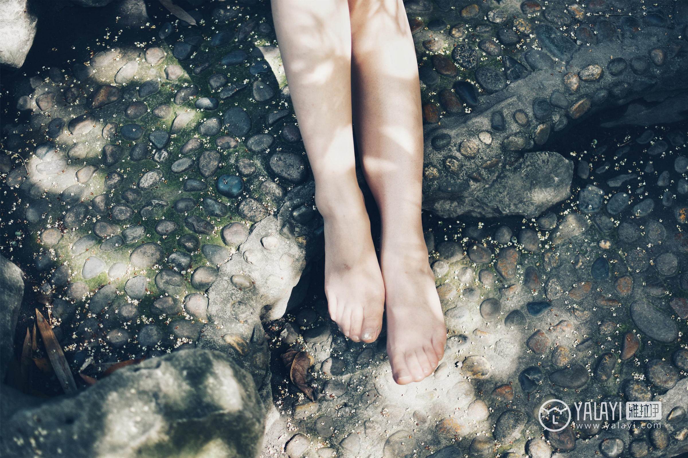 [YALAYI雅拉伊]NO.005 民国女孩叶肖肖 民国女生制服与白色短袖及黑色短裙加肉色丝袜美腿性感私房写真集第4张