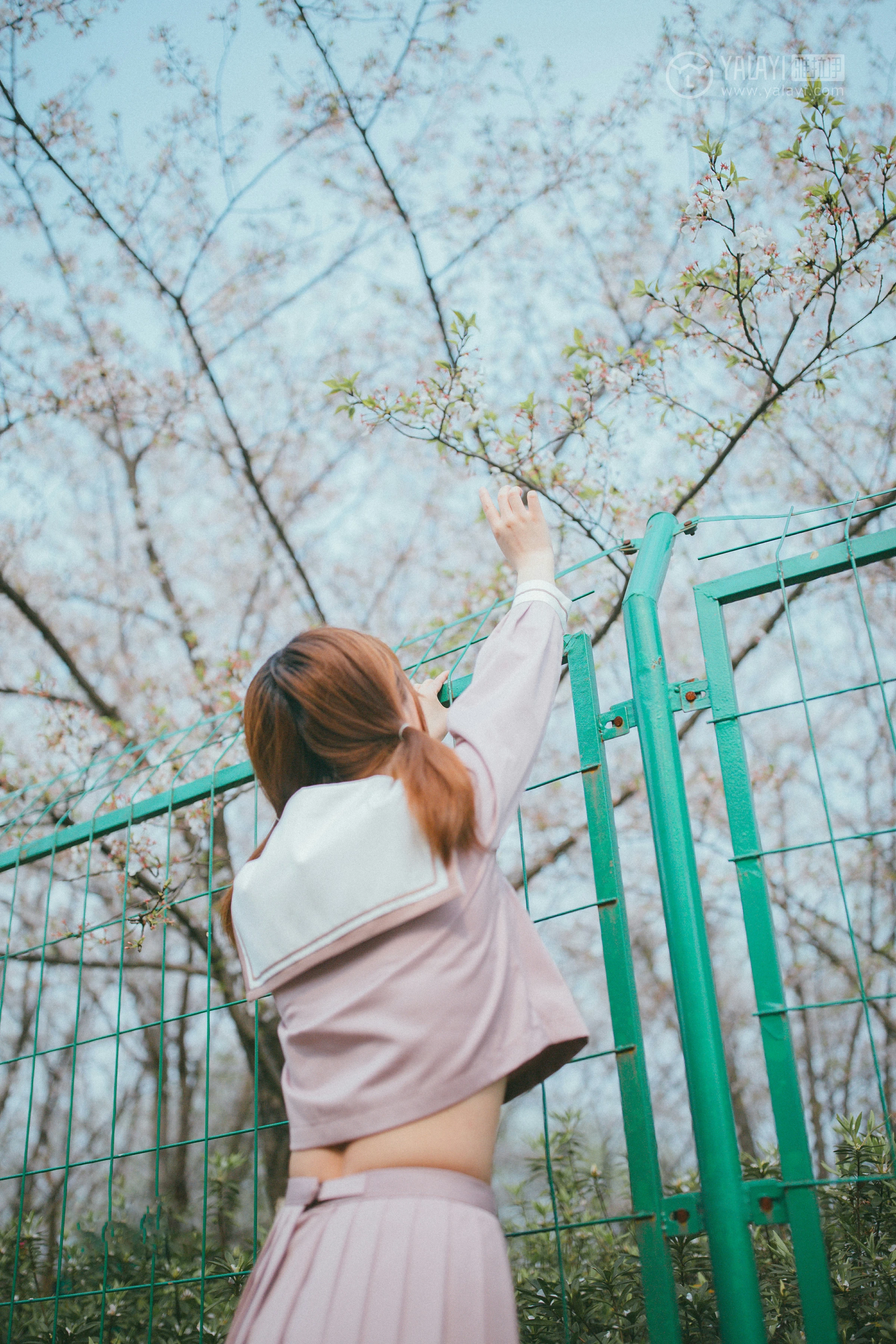 [YALAYI雅拉伊]No.246 樱花樱花想见你 团团 日本高中女生制服加肉色丝袜美腿性感私房写真集第10张