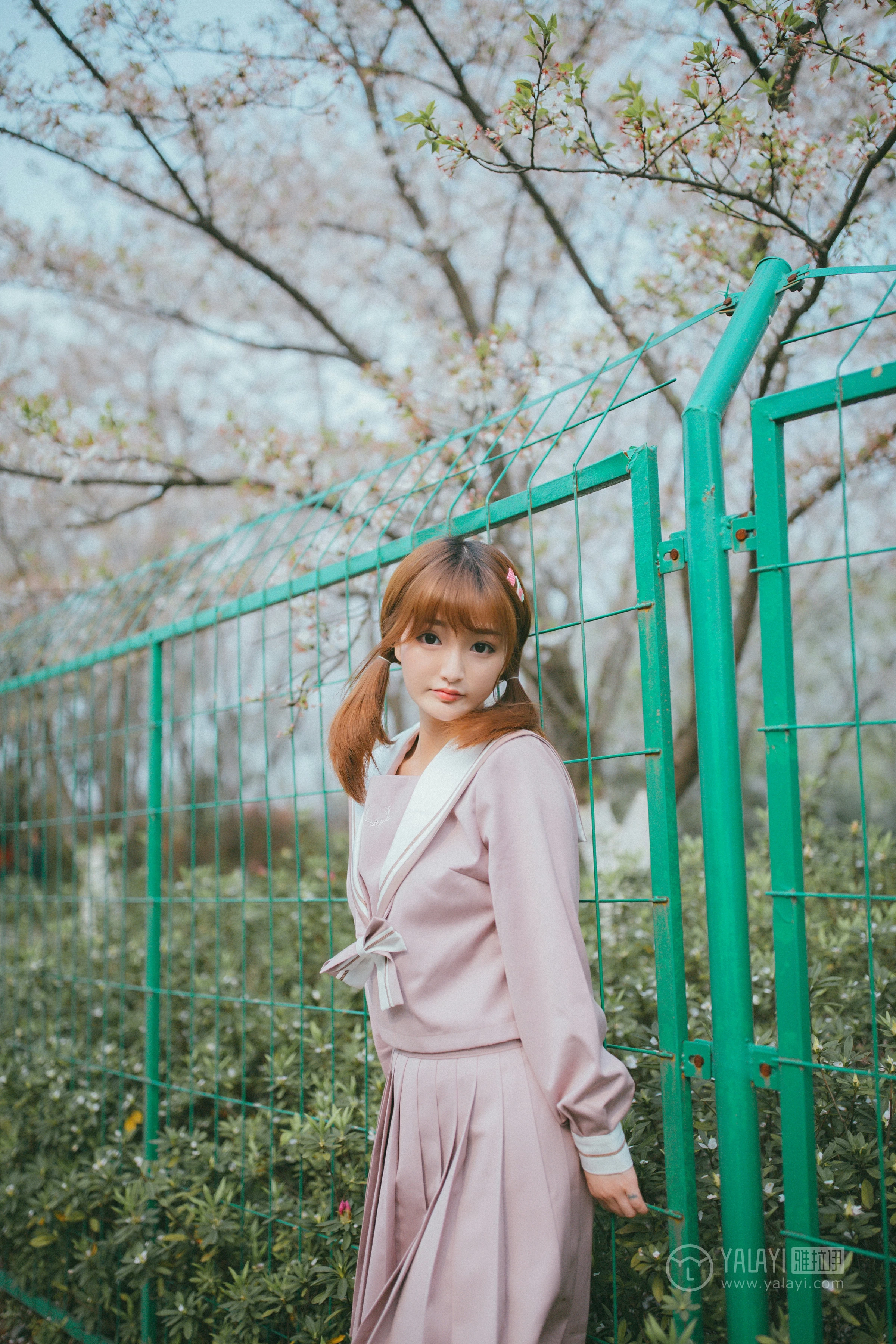 [YALAYI雅拉伊]No.246 樱花樱花想见你 团团 日本高中女生制服加肉色丝袜美腿性感私房写真集第11张