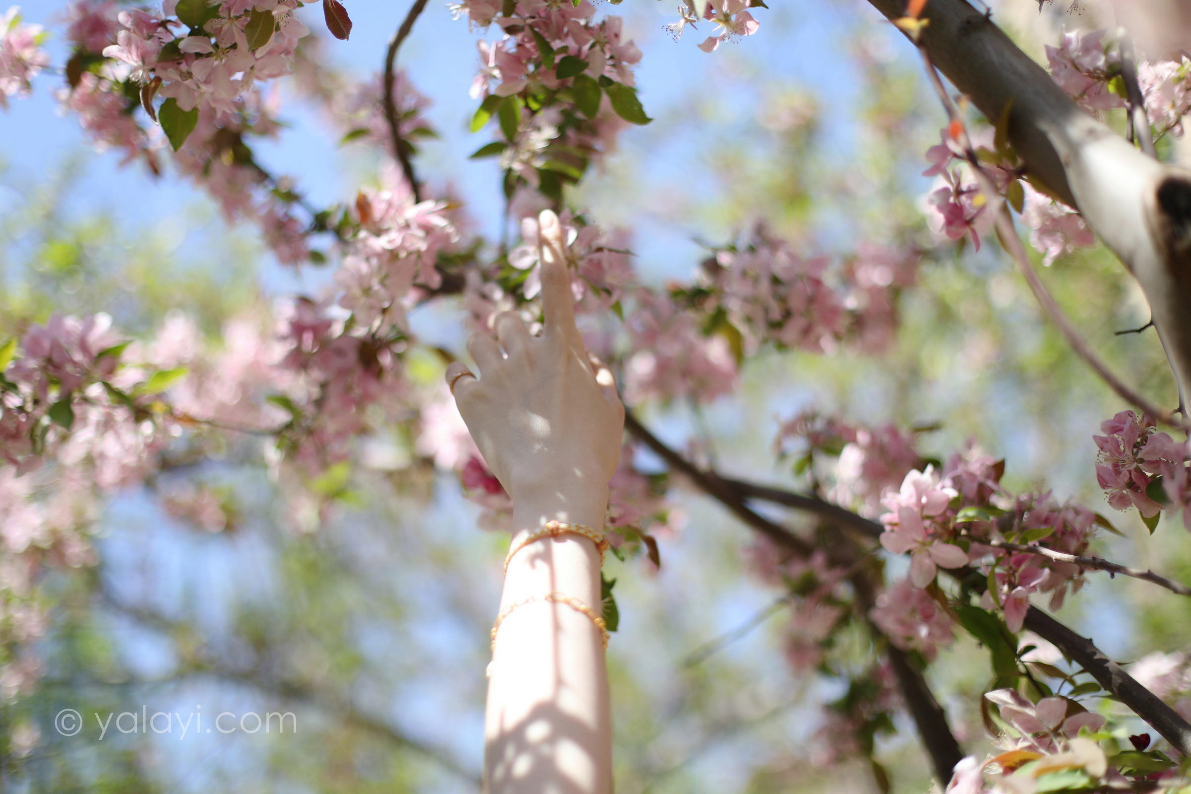 [YALAYI雅拉伊]2022.09.22 光晕 京京 白色镂空连衣裙加粉色长裙清纯写真集第11张