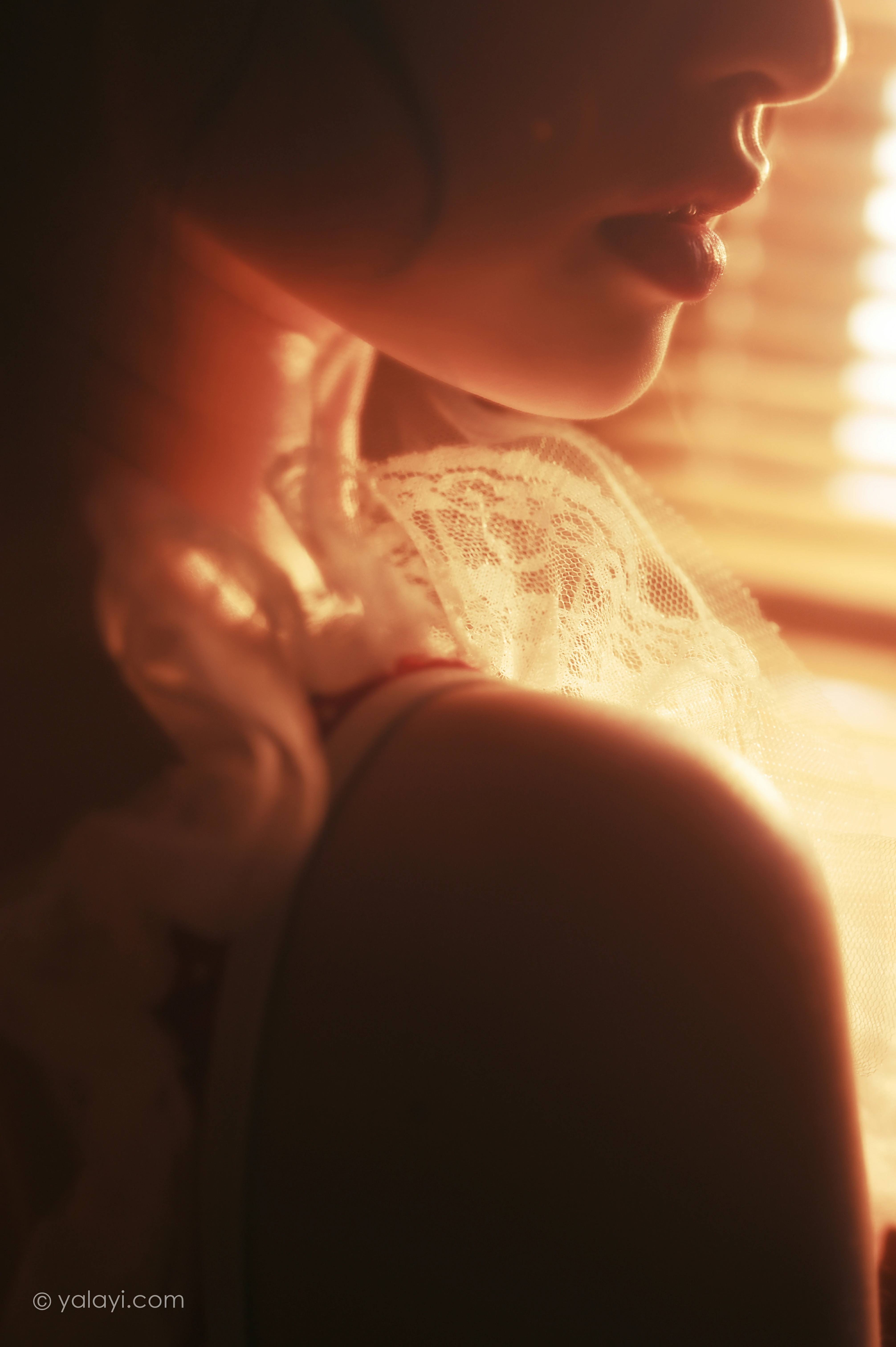 [YALAYI雅拉伊]NO.787 红颜旧梦 京京 红色紧身连体内衣性感私房写真集第6张